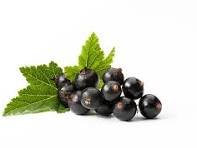 Fresh Blackcurrants